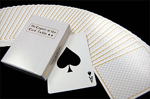 超限定品！】エキスパートアットザカードテーブル・デック（Expert at