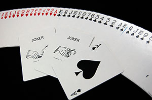 超限定品！】エキスパートアットザカードテーブル・デック（Expert at